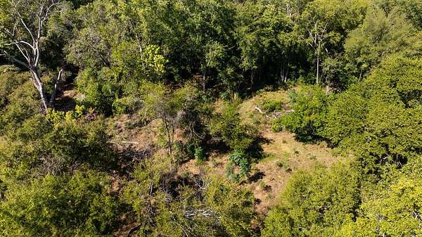 0.47 Acres of Residential Land for Sale in Palestine, Texas