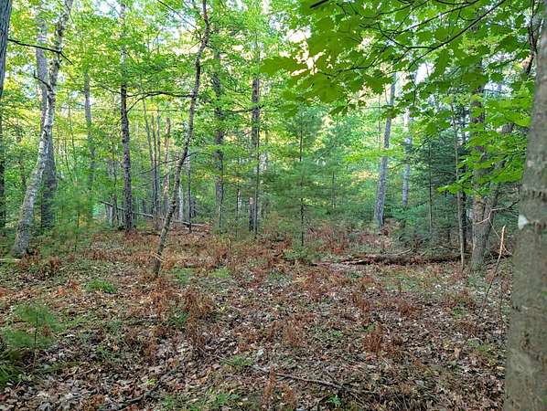 3 Acres of Residential Land for Sale in Lake Tomahawk, Wisconsin