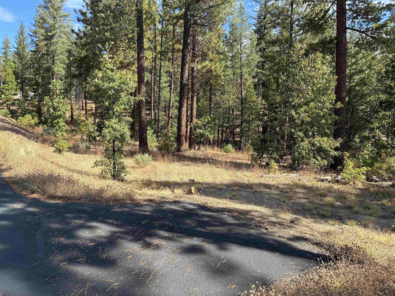 1.17 Acres of Land for Sale in Quincy, California
