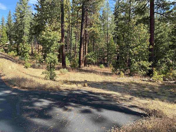 1.17 Acres of Land for Sale in Quincy, California