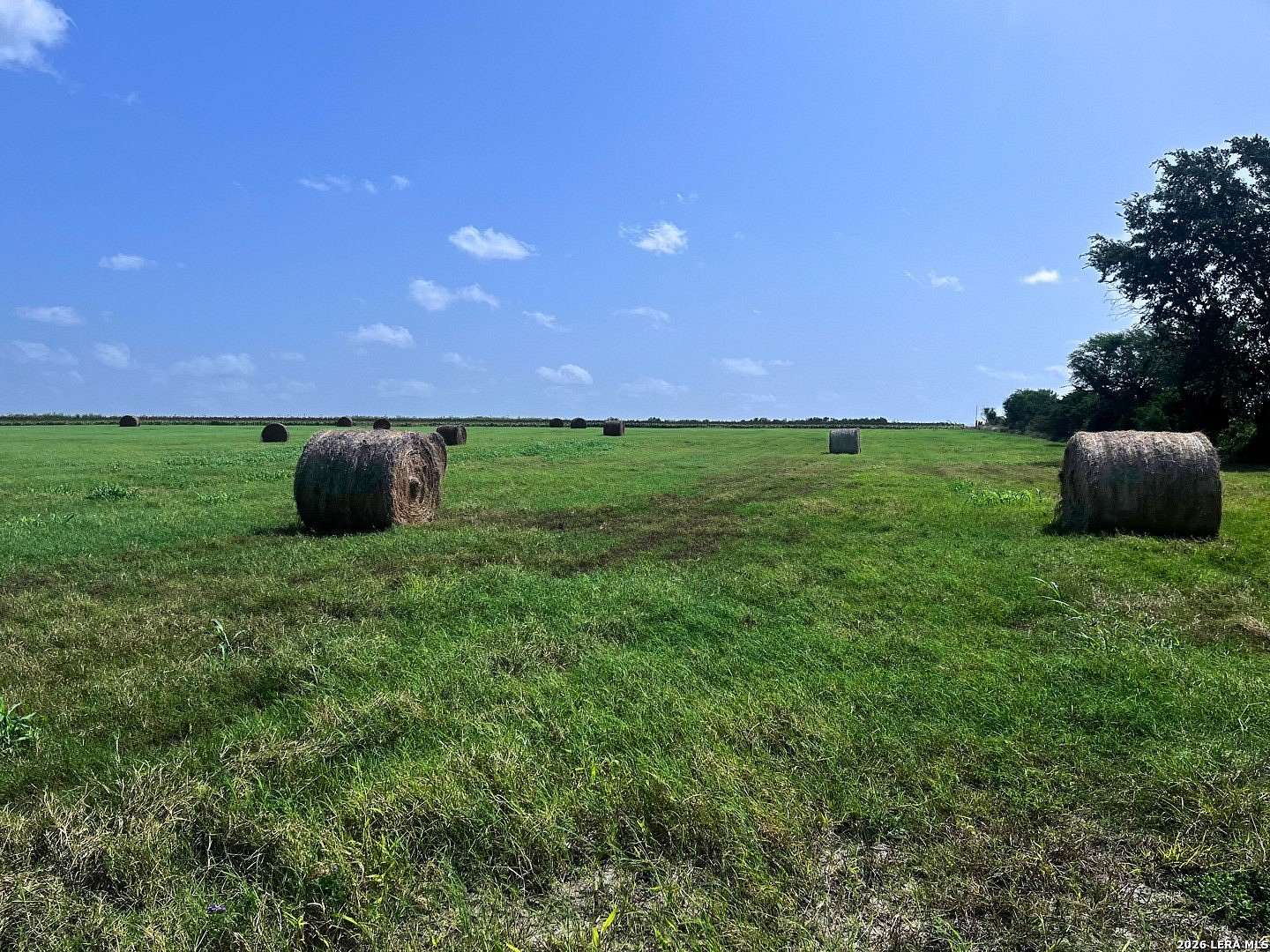 100 Acres of Agricultural Land for Sale in Poth, Texas