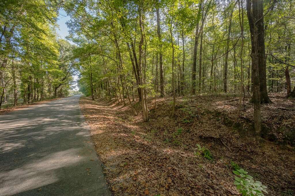 5.5 Acres of Residential Land for Sale in Pittsview, Alabama