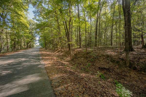 5.5 Acres of Residential Land for Sale in Pittsview, Alabama
