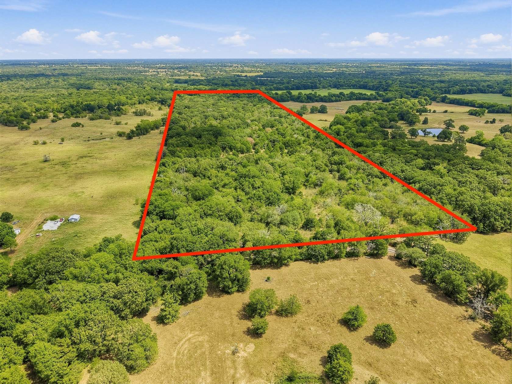 53.4 Acres of Recreational & Residential Land for Sale in Cumby, Texas