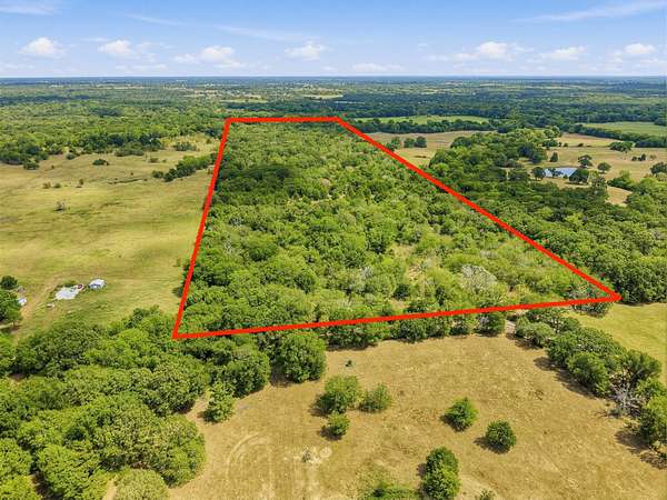 53.4 Acres of Recreational & Residential Land for Sale in Cumby, Texas