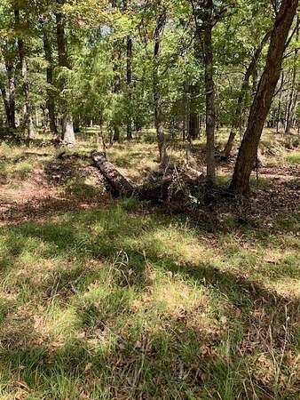 11 Acres of Land for Sale in Sumner, Texas