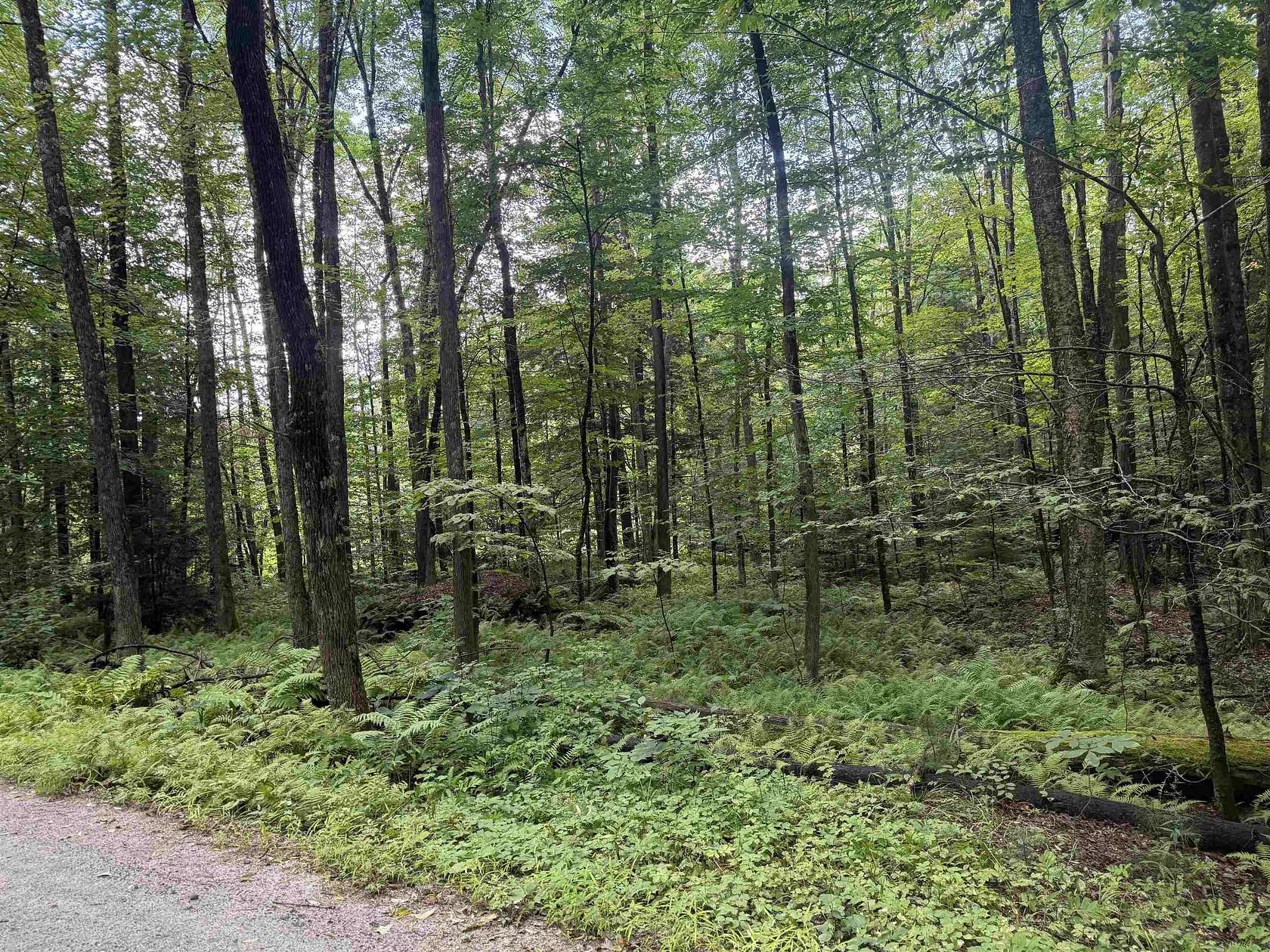 5.17 Acres of Residential Land for Sale in Grafton, Vermont