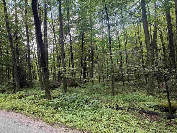 5.17 Acres of Residential Land for Sale in Grafton, Vermont