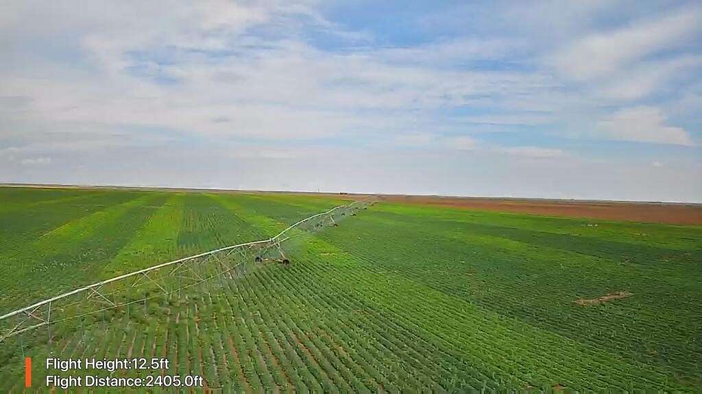 650 Acres of Land for Sale in Plains, Texas
