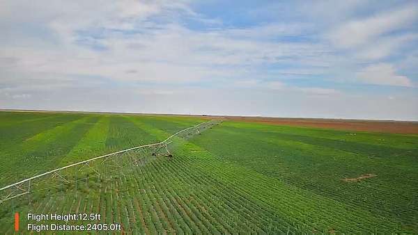 650 Acres of Land for Sale in Plains, Texas