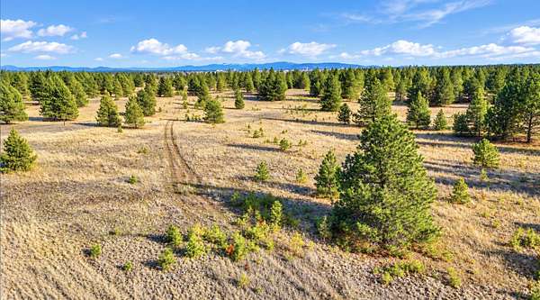 10 Acres of Land for Sale in Medical Lake, Washington