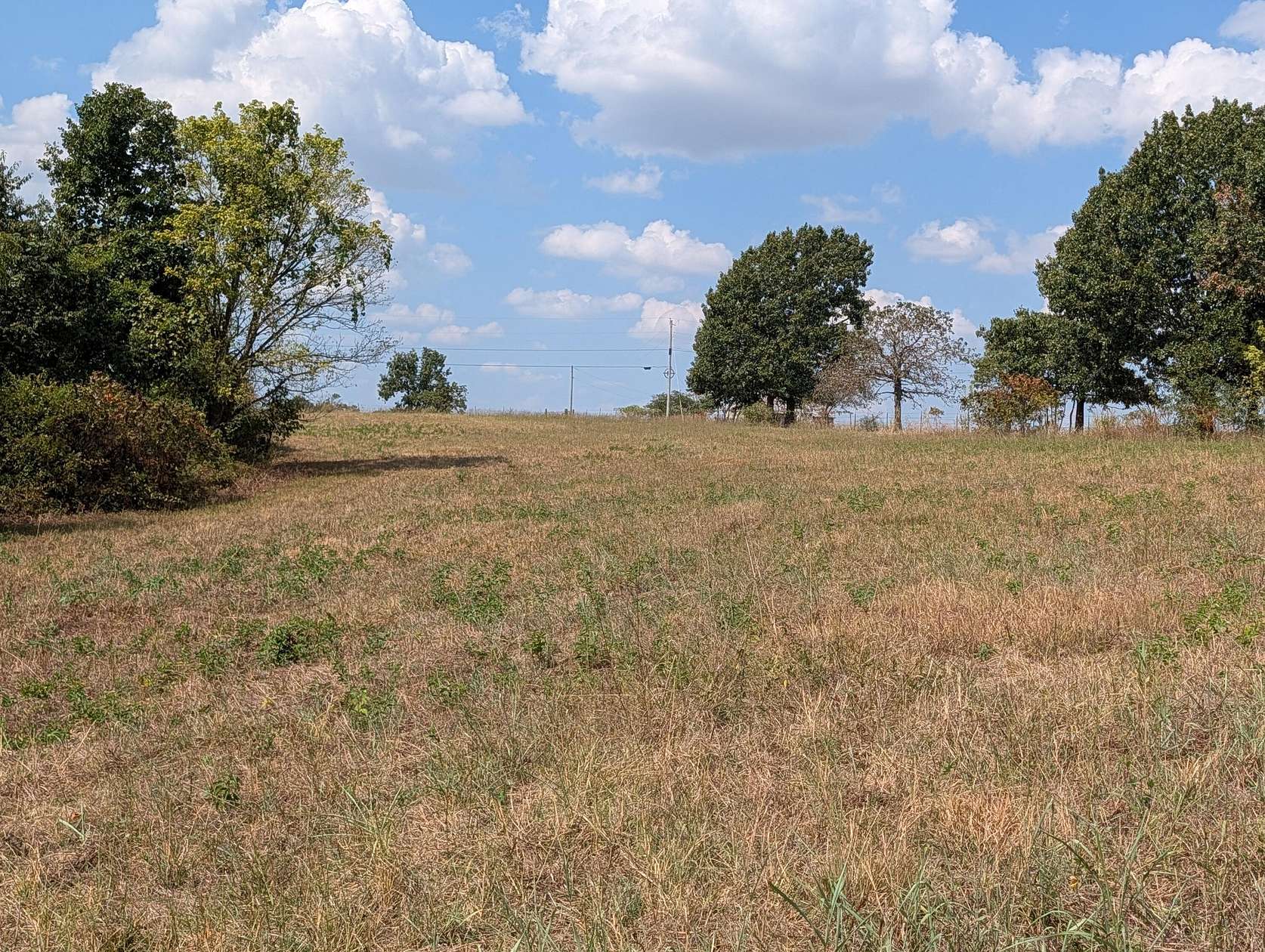 19.5 Acres of Land with Home for Sale in Cassville, Missouri