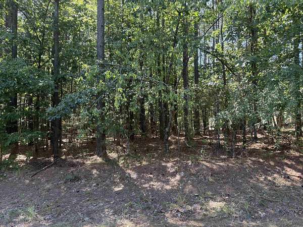 0.35 Acres of Land for Sale in Hot Springs Village, Arkansas