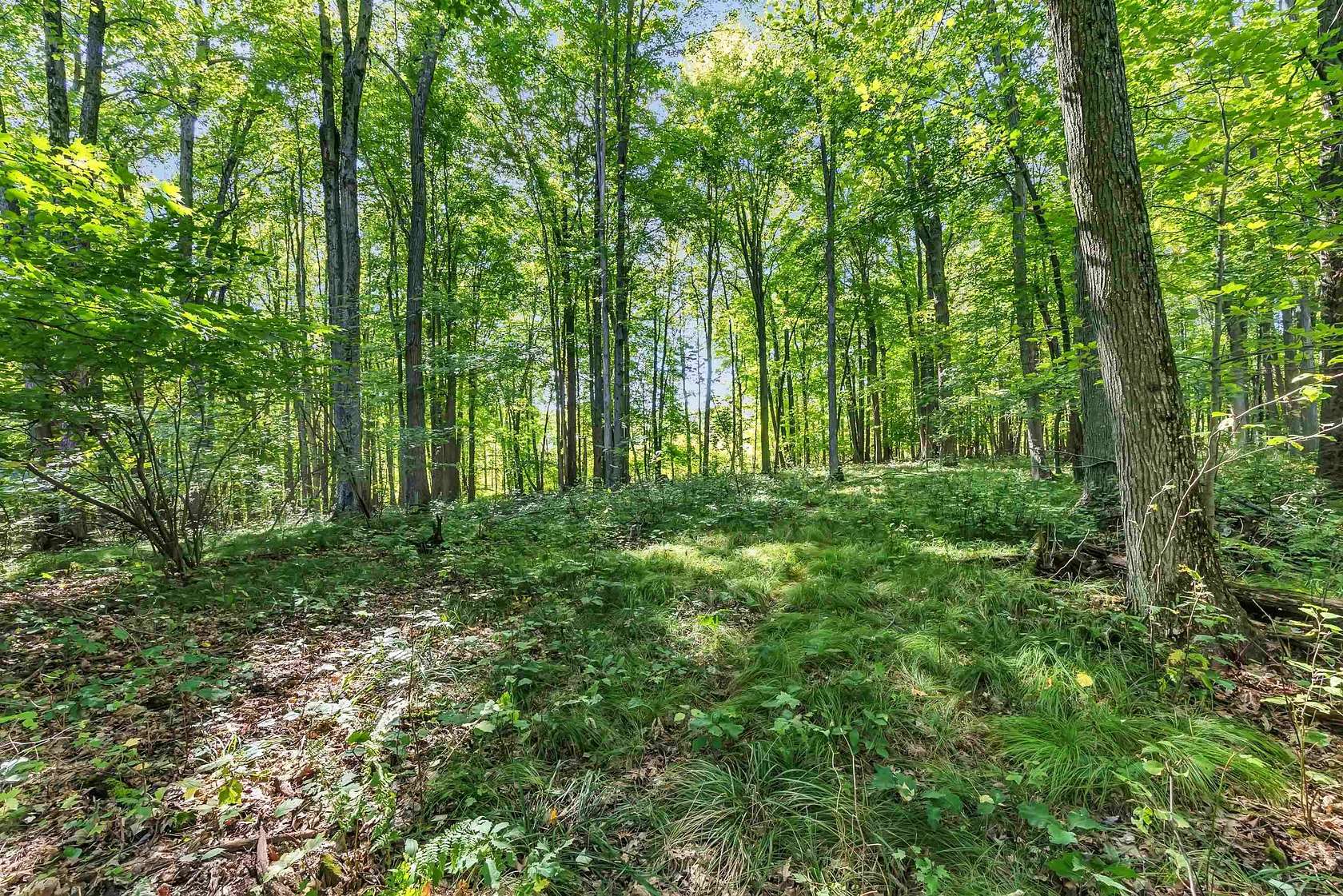 8.9 Acres of Residential Land for Sale in Iola, Wisconsin