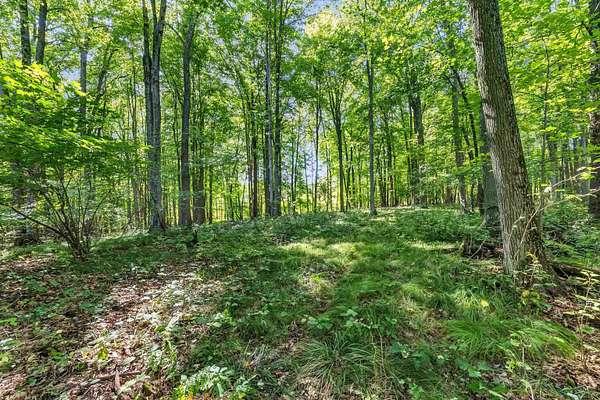 8.9 Acres of Residential Land for Sale in Iola, Wisconsin