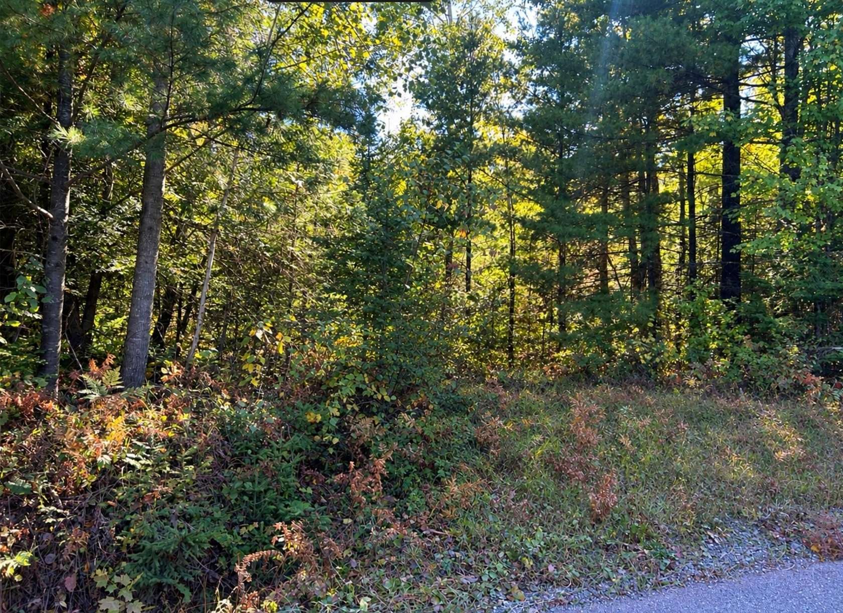 5 Acres of Land for Sale in Phillips, Wisconsin