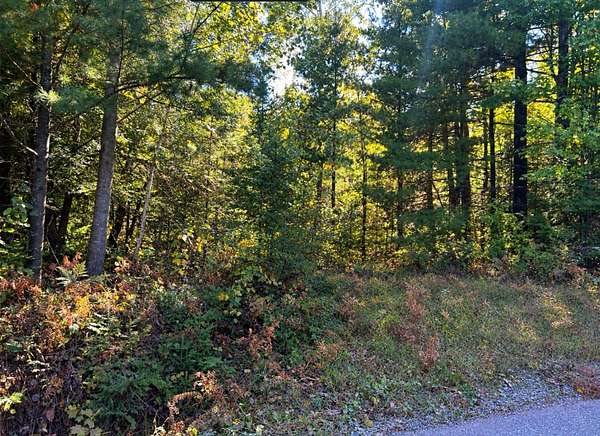 5 Acres of Land for Sale in Phillips, Wisconsin
