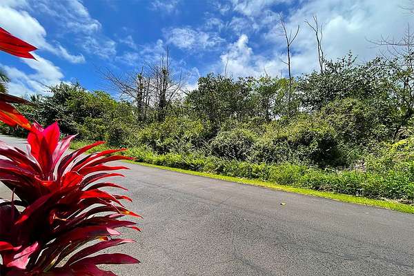 1 Acre of Residential Land for Sale in Pahoa, Hawaii