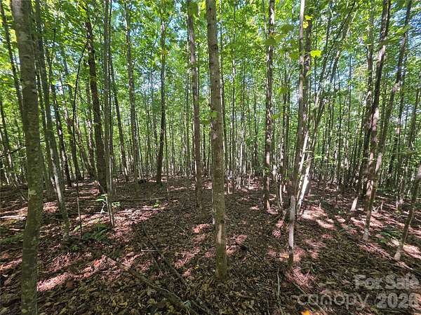 4 Acres of Land for Sale in Nebo, North Carolina