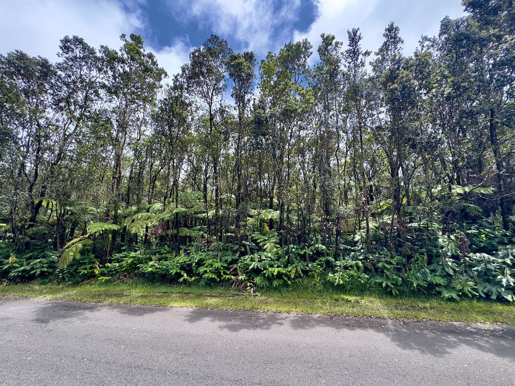 0.46 Acres of Residential Land for Sale in Volcano, Hawaii
