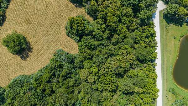 4.24 Acres of Residential Land for Auction in Holts Summit, Missouri