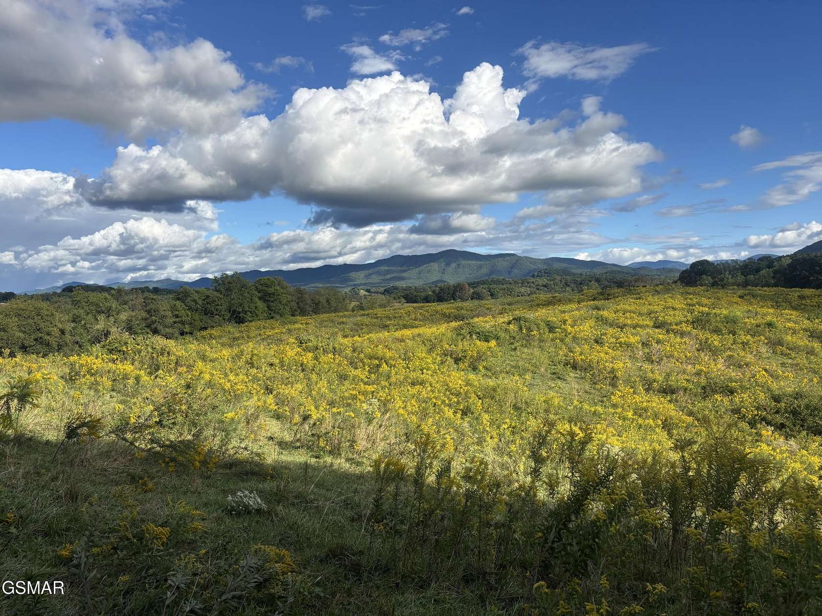 15 Acres of Agricultural Land for Sale in Parrottsville, Tennessee