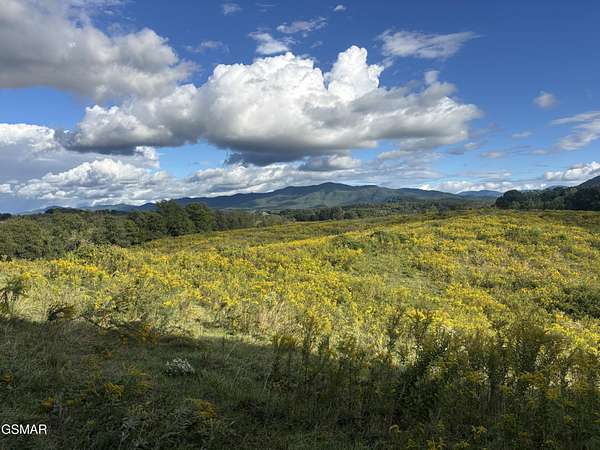 15 Acres of Agricultural Land for Sale in Parrottsville, Tennessee