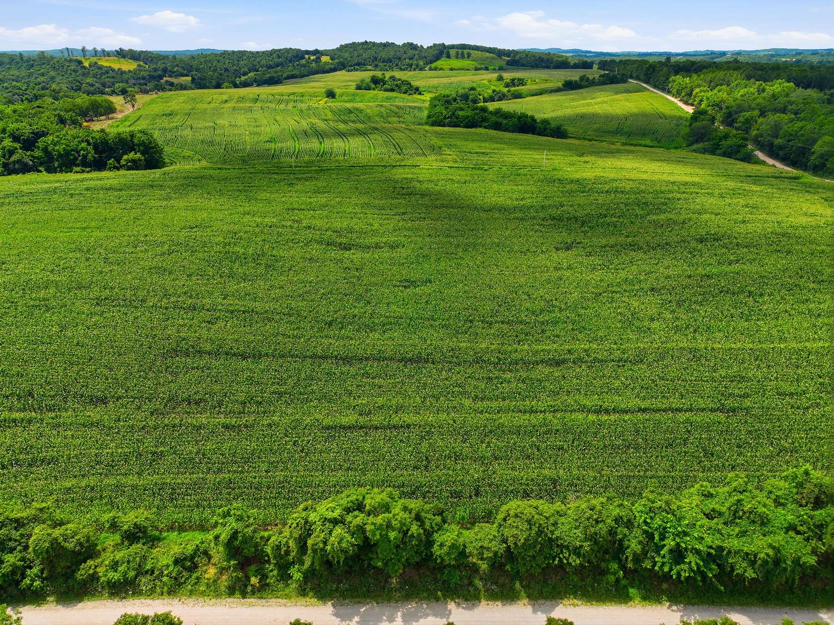 154 Acres of Land for Sale in Mountain Grove, Missouri