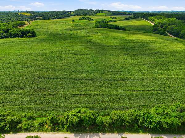 154 Acres of Land for Sale in Mountain Grove, Missouri