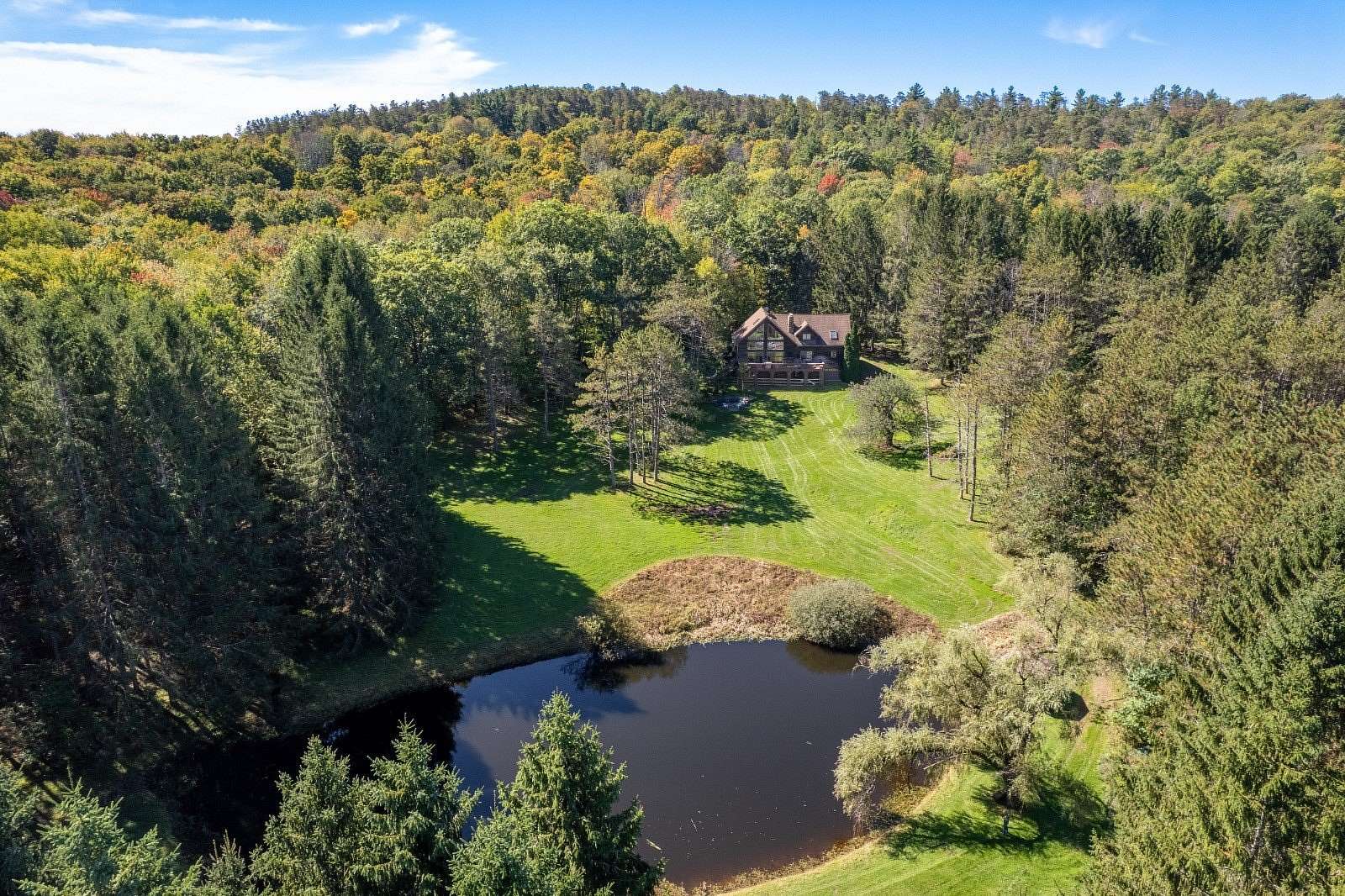 35.3 Acres of Land with Home for Sale in Deposit, New York