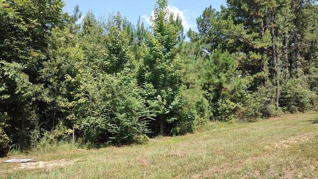 37.7 Acres of Land for Sale in Lumberton, Mississippi