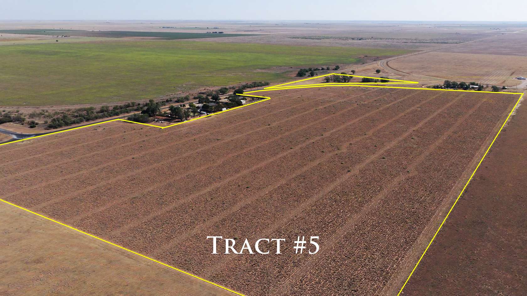 65 Acres of Land for Auction in Littlefield, Texas