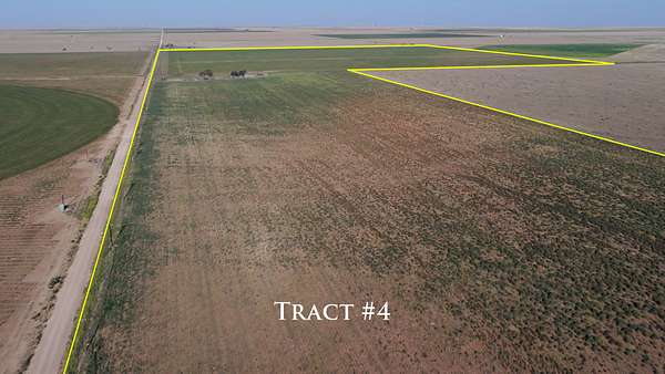 220 Acres of Agricultural Land for Auction in Littlefield, Texas