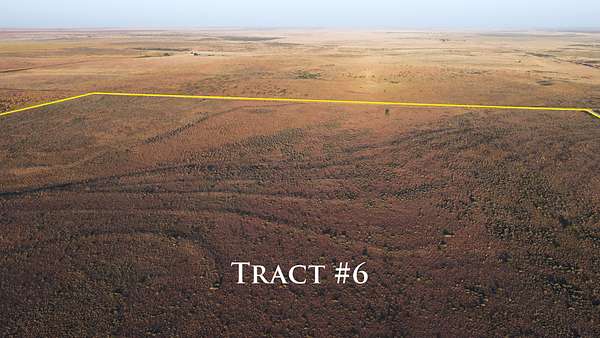 177 Acres of Land for Auction in Muleshoe, Texas