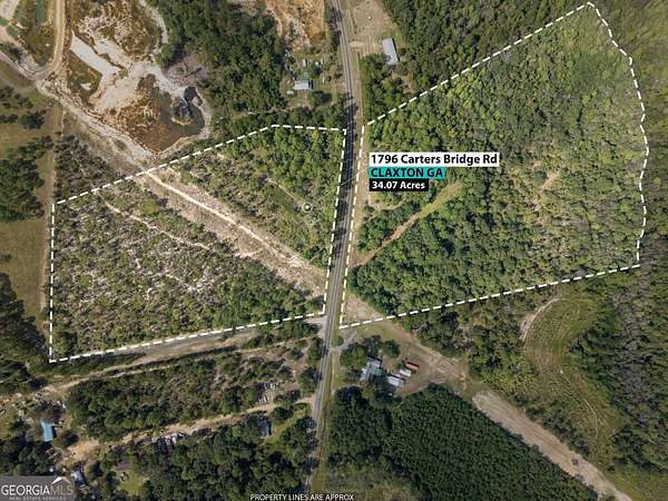 34 Acres of Recreational & Residential Land for Sale in Claxton, Georgia