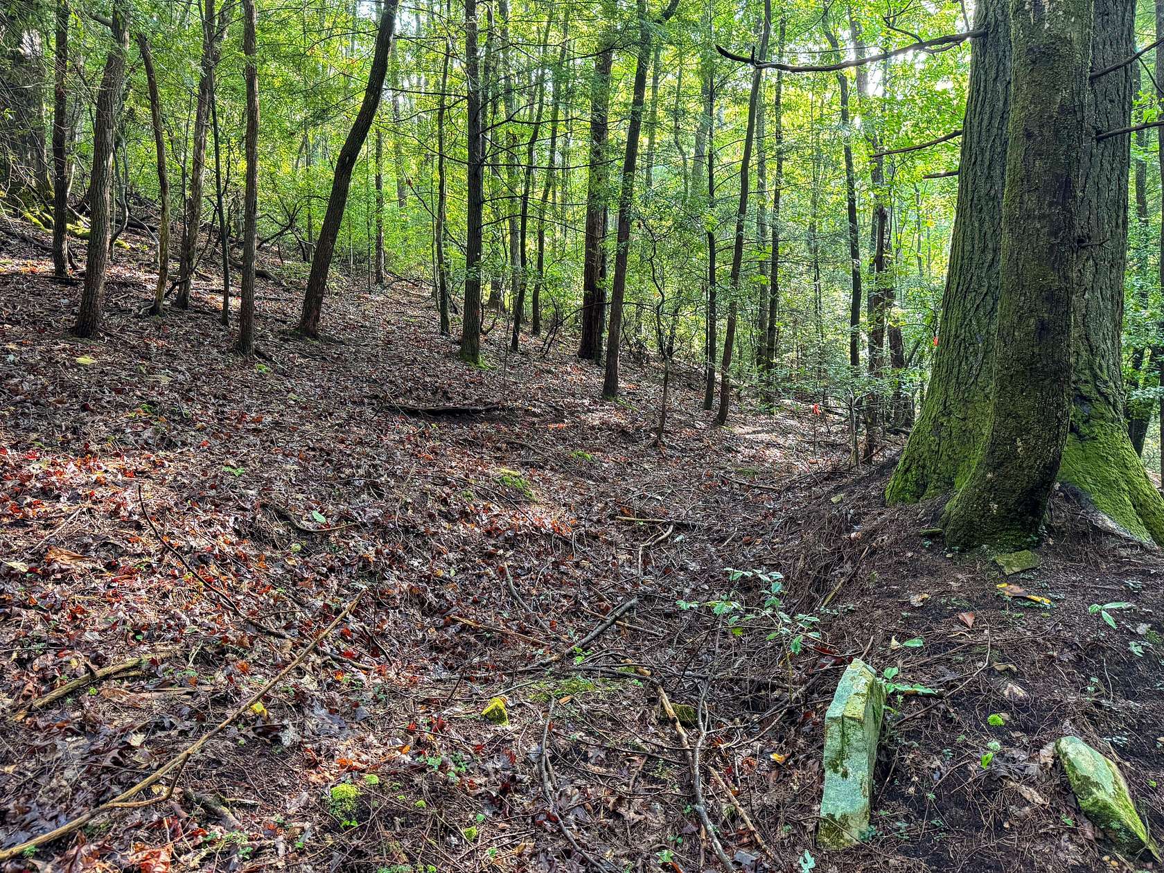 4.3 Acres of Land for Sale in Dunlap, Tennessee