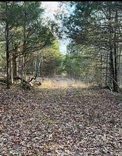 0.46 Acres of Land for Sale in Lampe, Missouri
