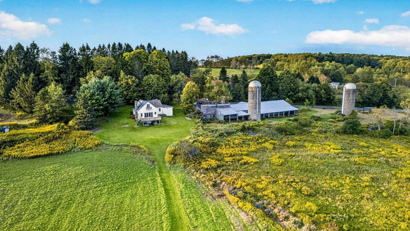 156 Acres of Recreational Land with Home for Sale in East Meredith, New York