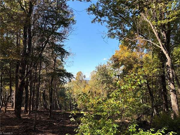 4.6 Acres of Residential Land for Auction in Laurel Springs, North Carolina