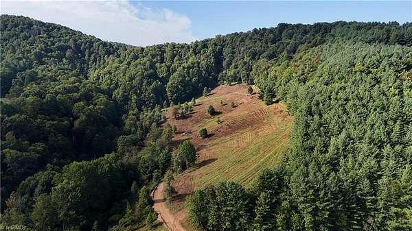 10.5 Acres of Recreational & Residential Land for Sale in Laurel Springs, North Carolina