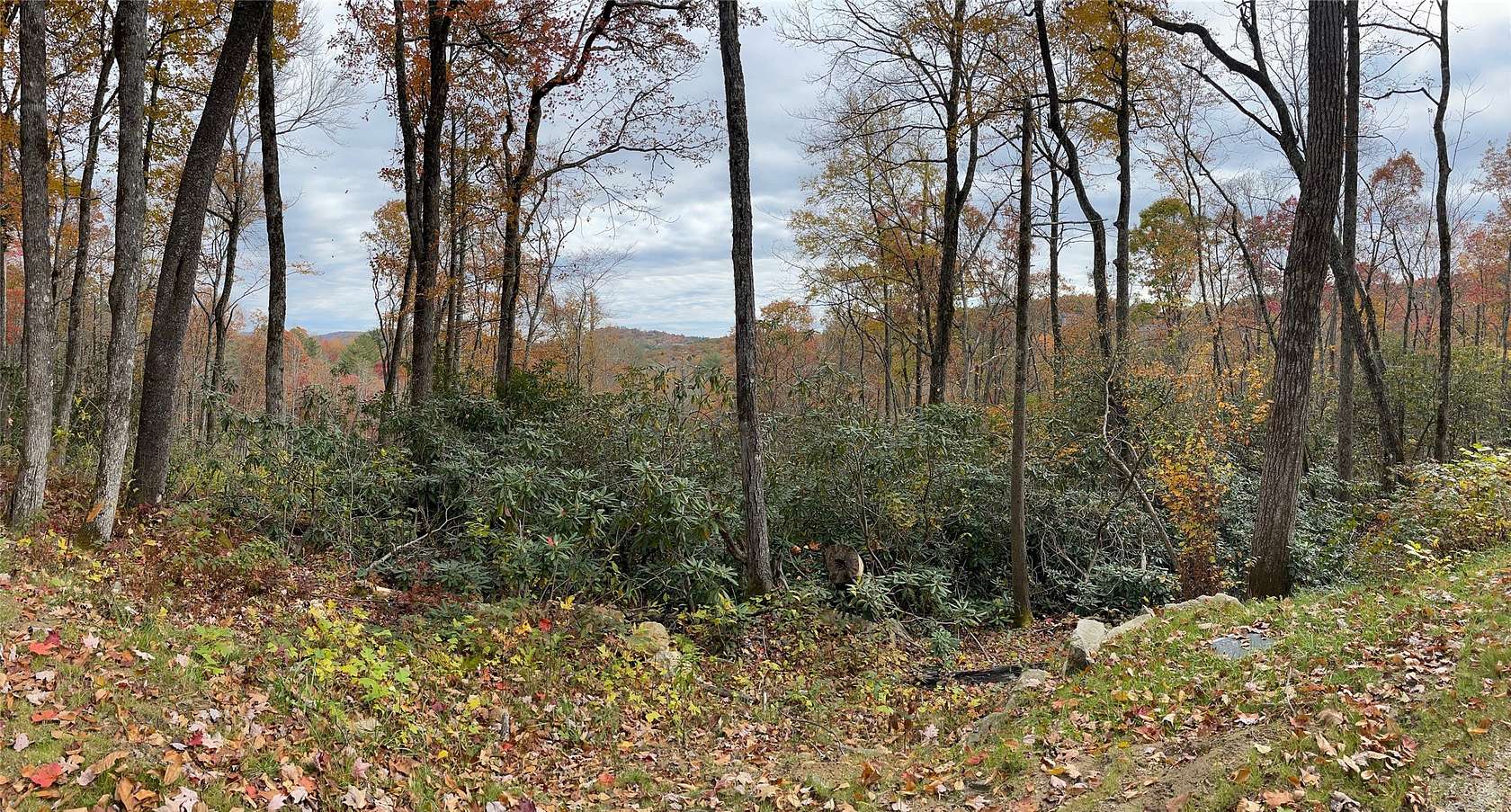 5 Acres of Residential Land for Sale in Cashiers, North Carolina