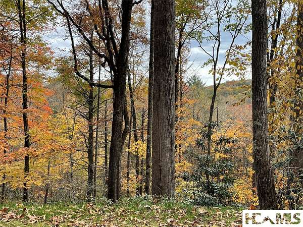 5 Acres of Residential Land for Sale in Cashiers, North Carolina