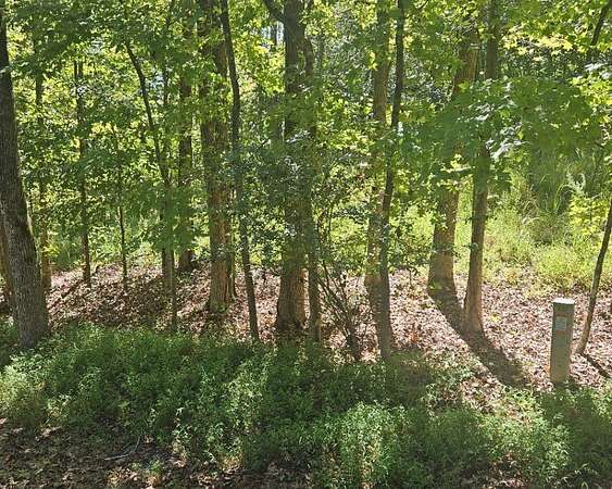 0.29 Acres of Residential Land for Sale in Westminster, South Carolina