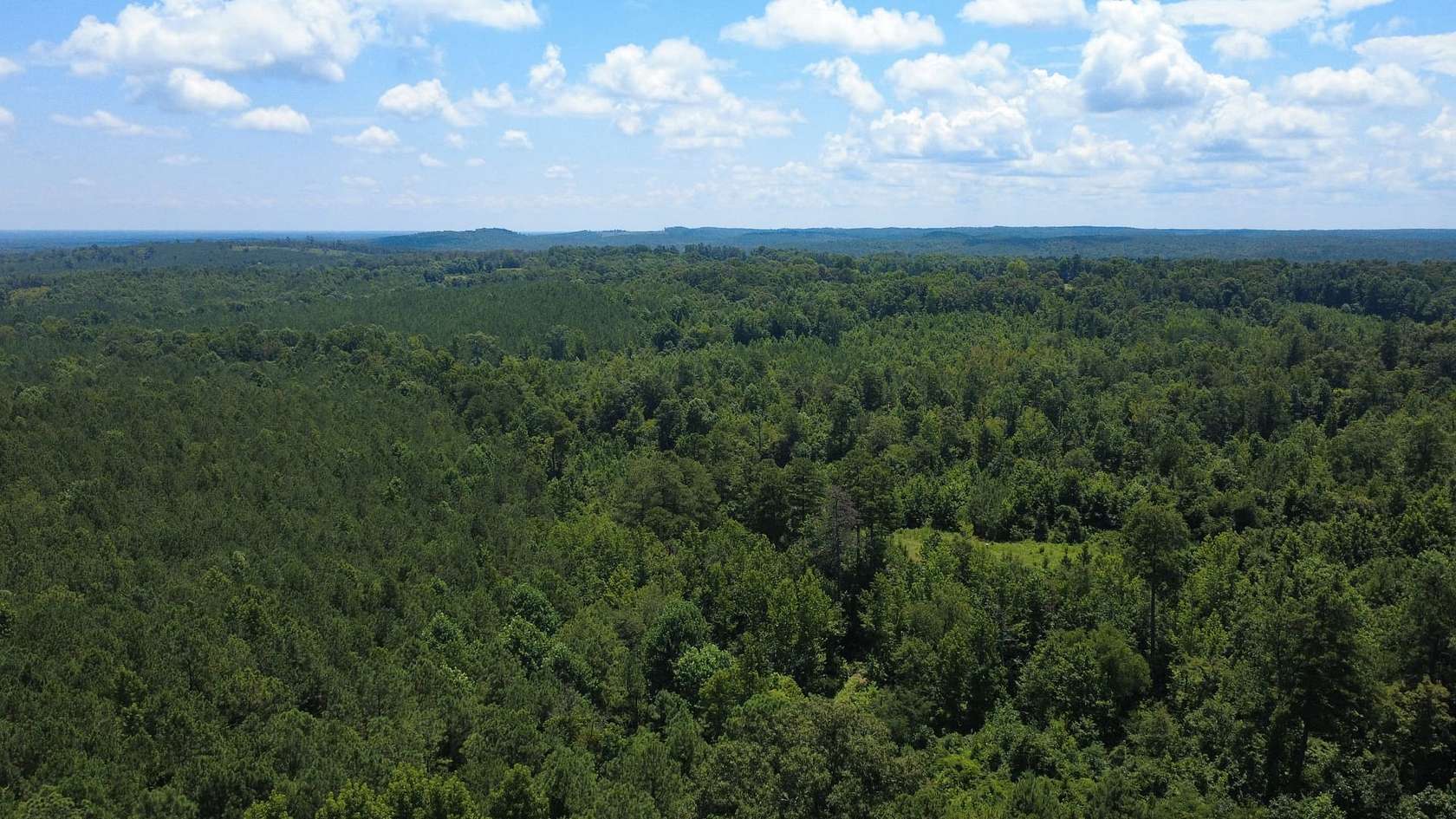 22 Acres of Recreational Land for Sale in Shuqualak, Mississippi