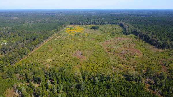 114 Acres of Recreational Land for Sale in Columbia, Mississippi