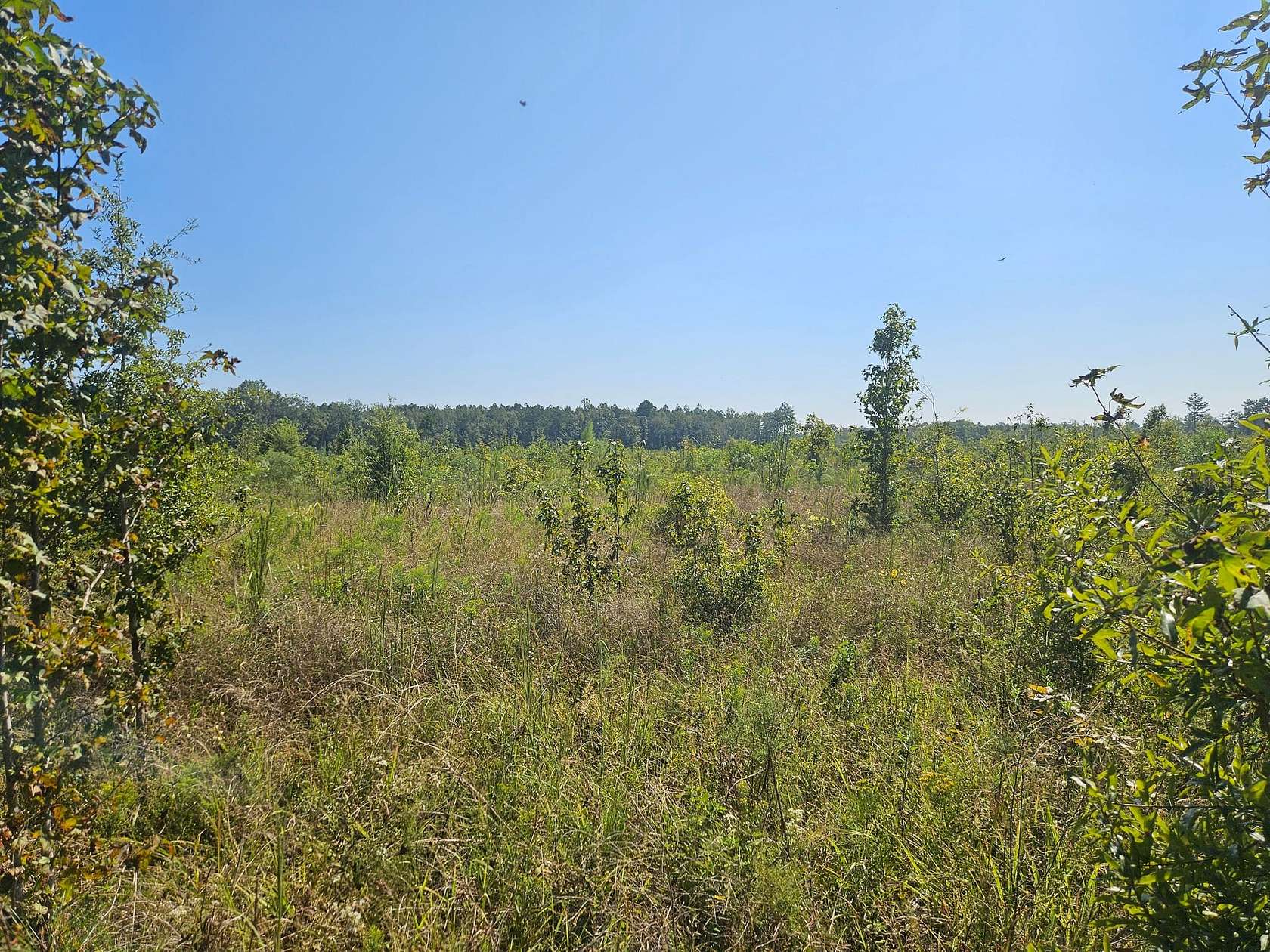 55 Acres of Recreational Land for Sale in Columbia, Mississippi