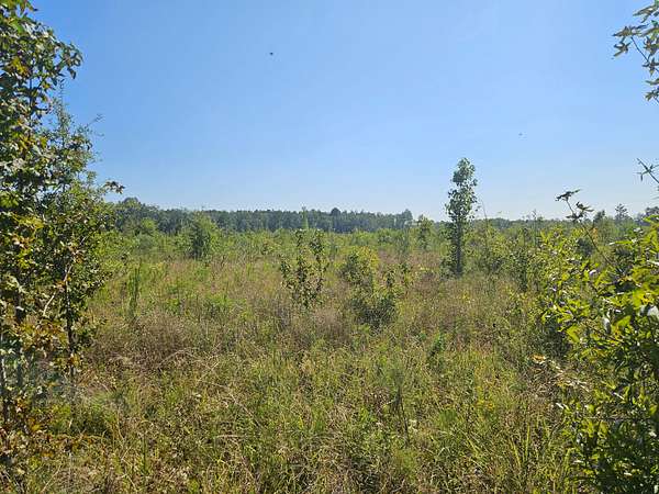 55 Acres of Recreational Land for Sale in Columbia, Mississippi