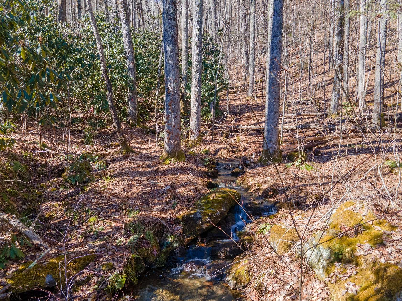 5 Acres of Residential Land for Sale in Cashiers, North Carolina