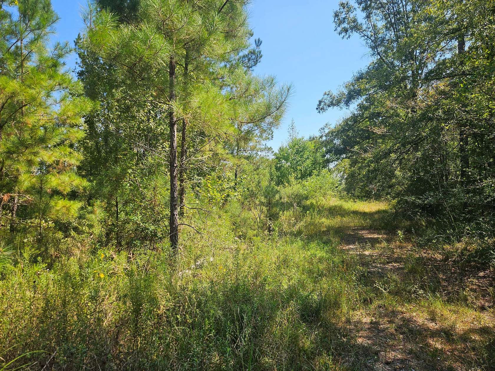 49 Acres of Recreational Land for Sale in Columbia, Mississippi