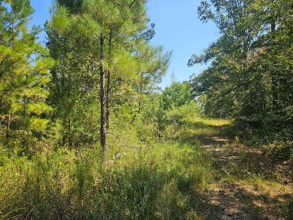 49 Acres of Recreational Land for Sale in Columbia, Mississippi